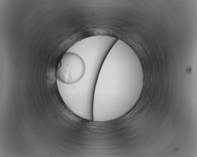 X0000096970478200802291126