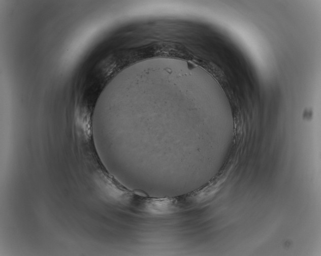 X0000096970479200802291126