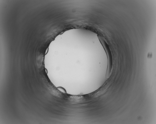 X0000096970480200802291126