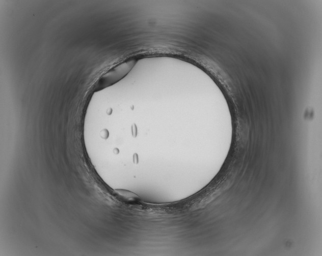 X0000096970481200802291125