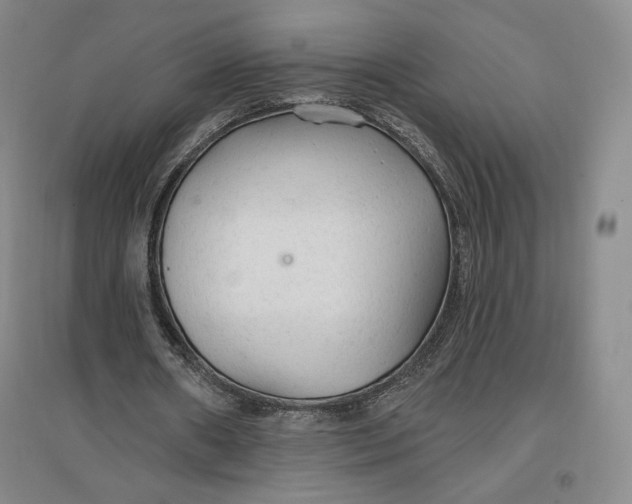 X0000096970482200802291125