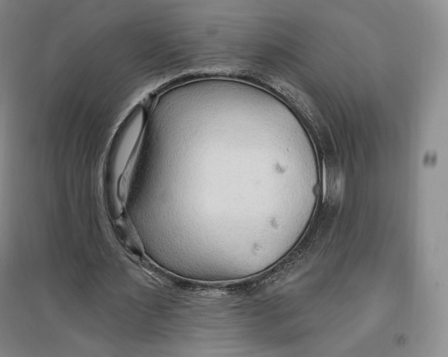 X0000096970483200802291125