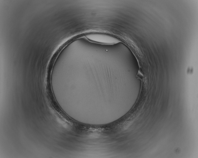 X0000096970484200802291125