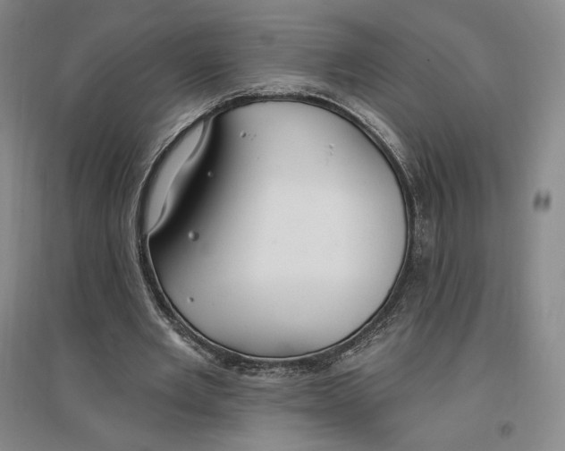 X0000096970485200802291125