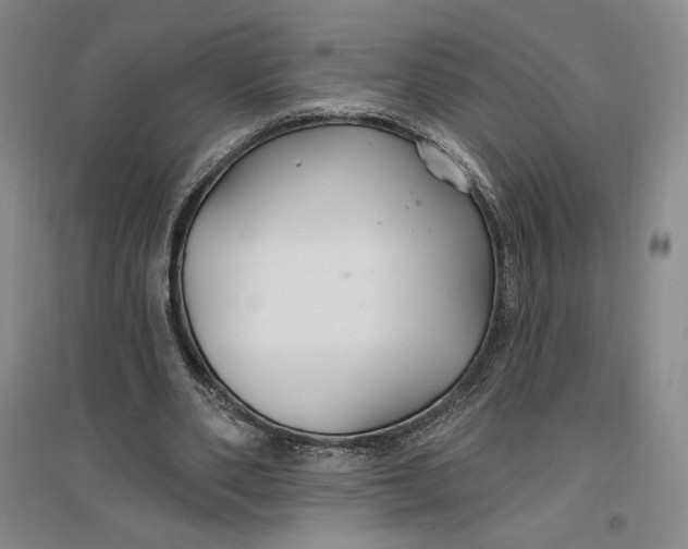 X0000096970486200802291125