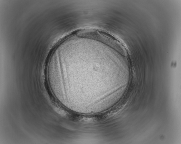 X0000096970487200802291125