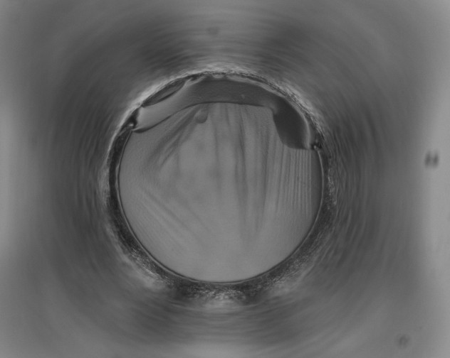 X0000096970488200802291125