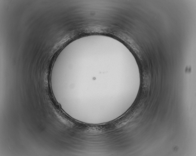 X0000096970489200802291125