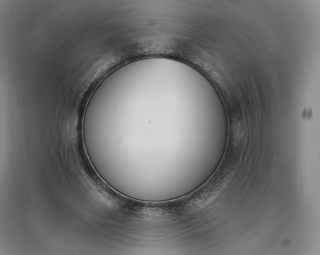 X0000096970490200802291125