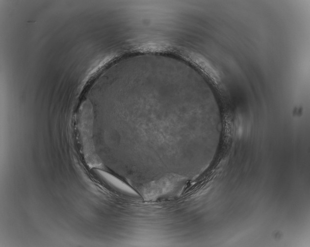 X0000096970491200802291125