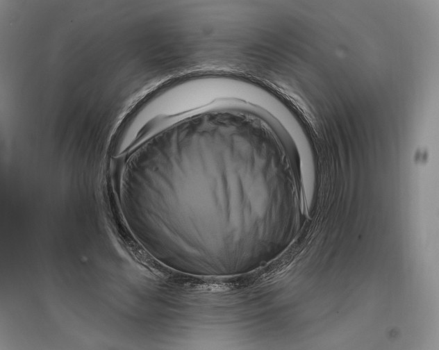 X0000096970492200802291125