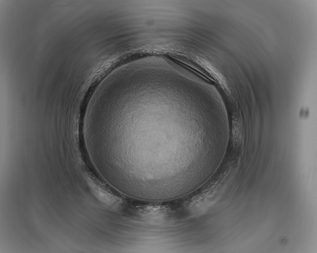 X0000096970493200802291125