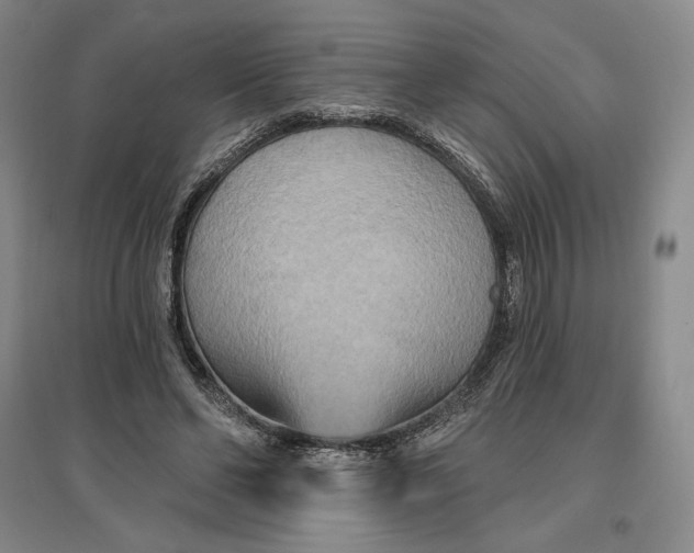 X0000096970494200802291125