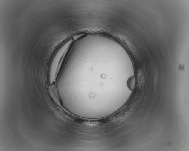 X0000096970495200802291125