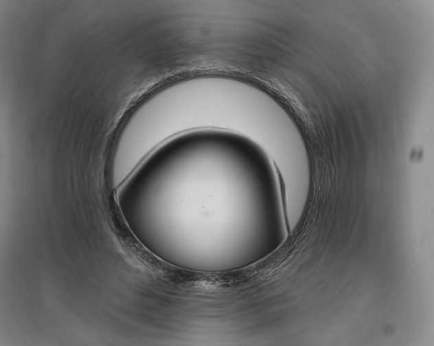 X0000096970496200802291125