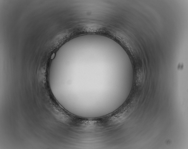 X0000096970497200802291125