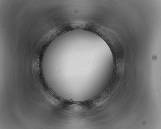 X0000096970498200802291125