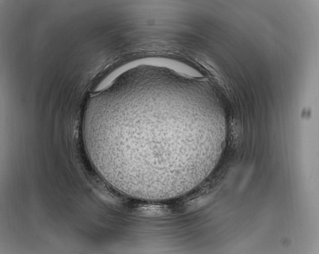 X0000096970499200802291125