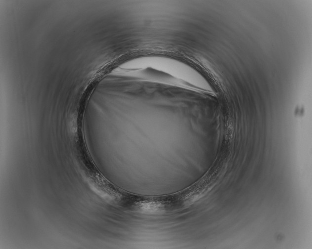 X0000096970500200802291125