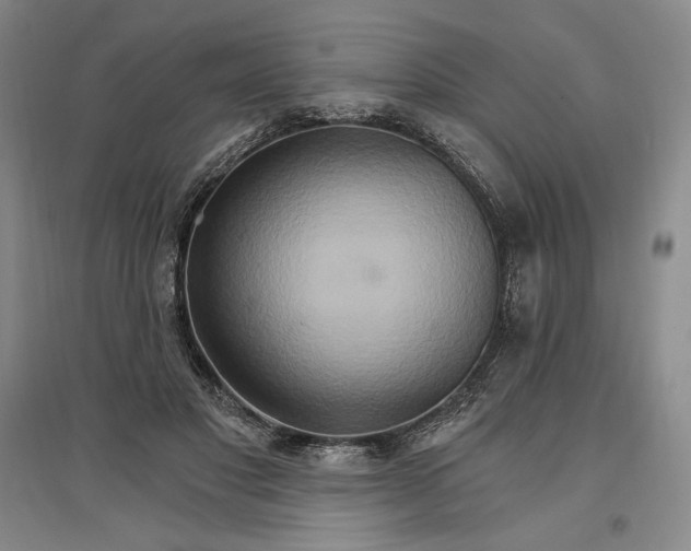 X0000096970501200802291125