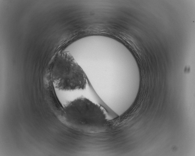 X0000096970503200802291125