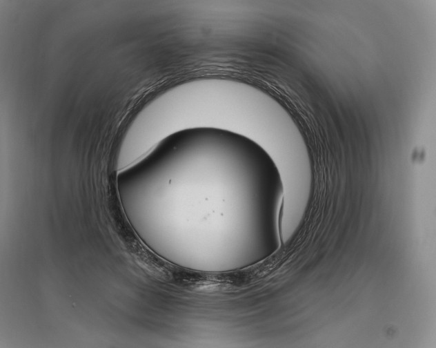 X0000096970504200802291125