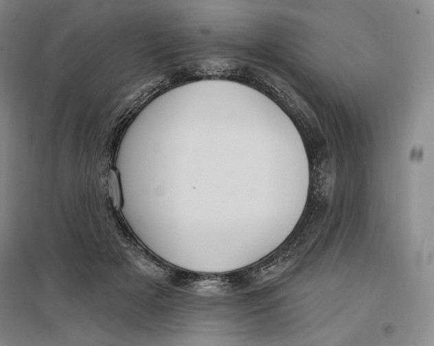 X0000096970505200802291125