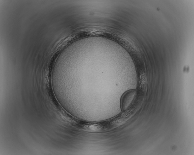 X0000096970506200802291125