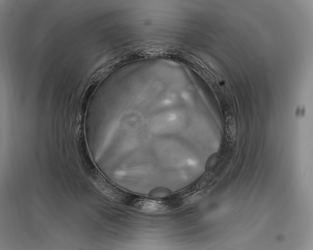 X0000096970507200802291125