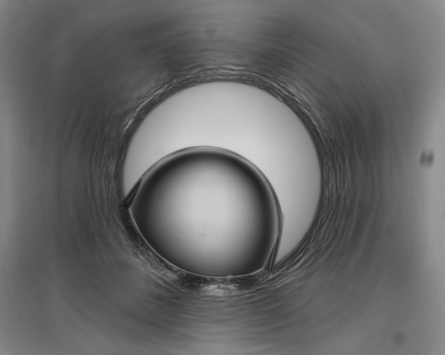 X0000096970508200802291125