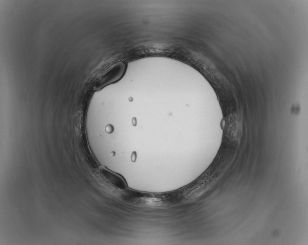 X0000096970509200802291125