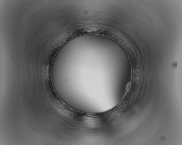 X0000096970510200802291125