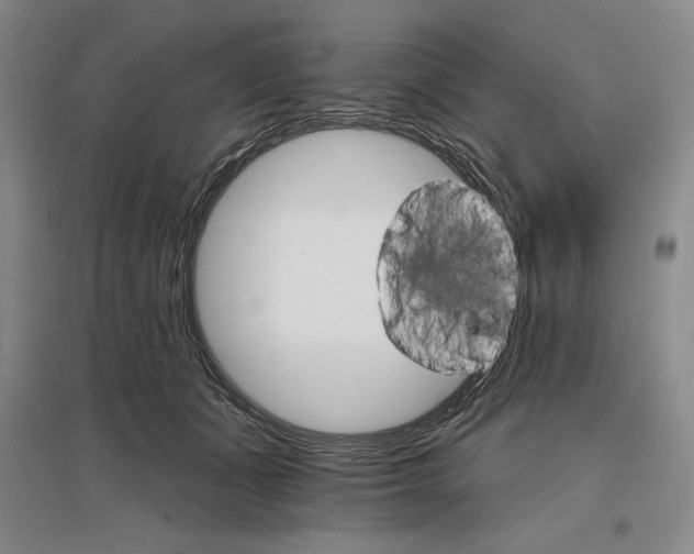 X0000096970511200802291125