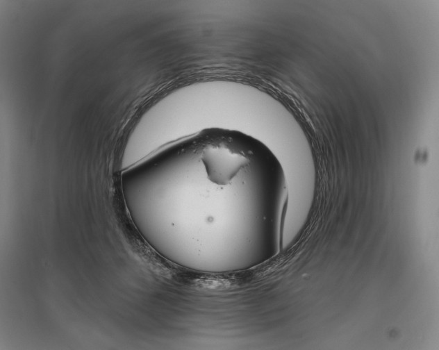 X0000096970512200802291125