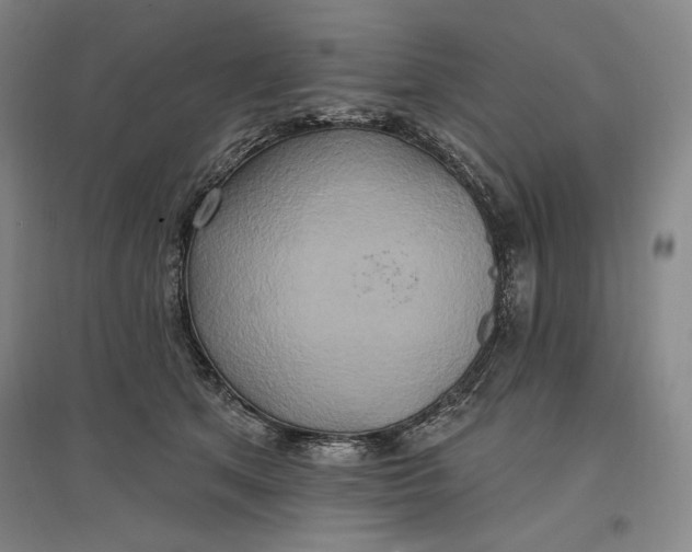 X0000096970513200802291124