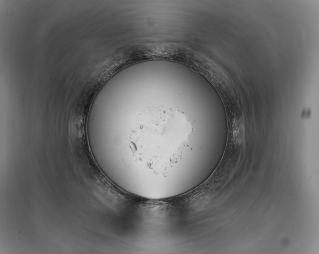 X0000096970514200802291124