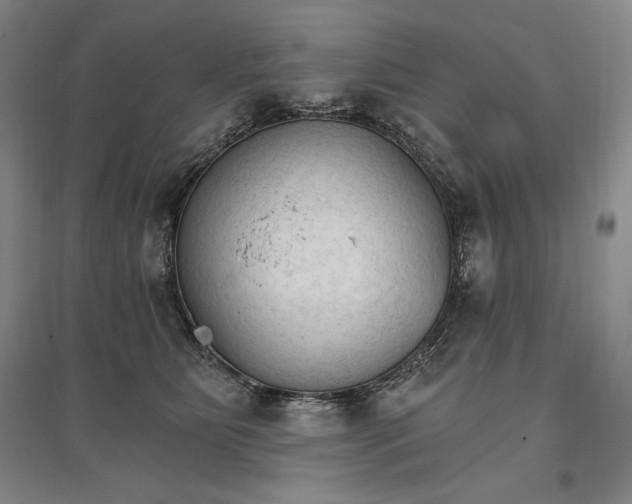 X0000096970515200802291124