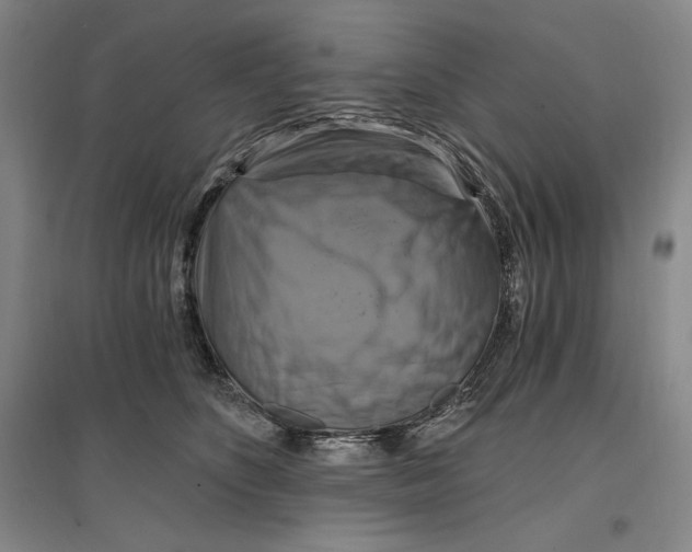 X0000096970516200802291124