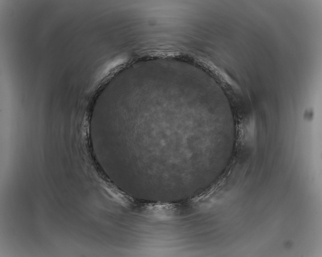 X0000096970517200802291124