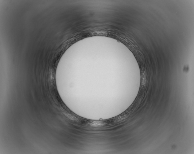 X0000096970518200802291124