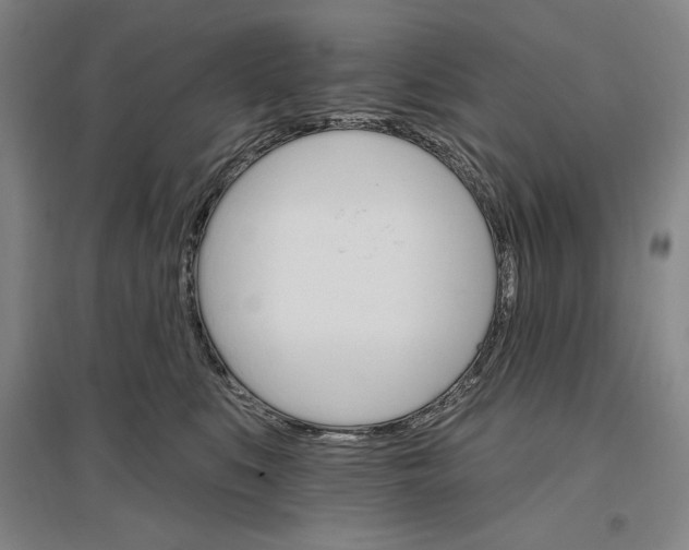 X0000096970519200802291124