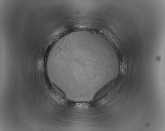 X0000096970520200802291124