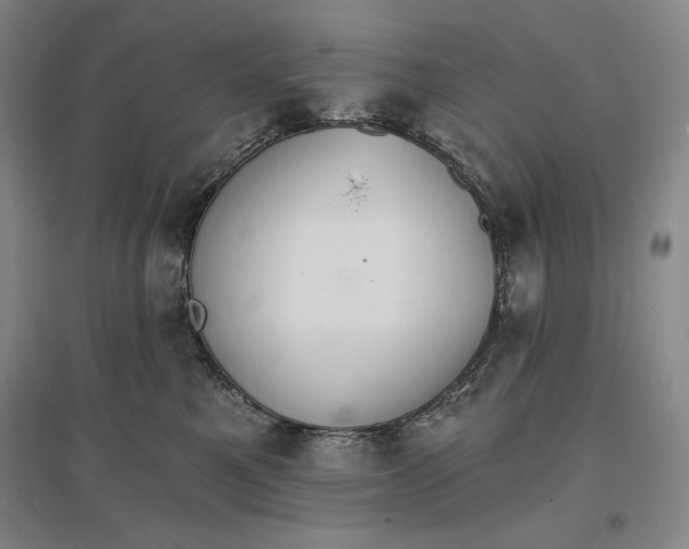 X0000096970521200802291124