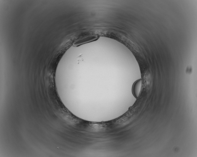 X0000096970522200802291124