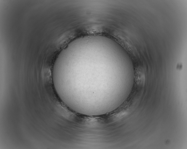 X0000096970523200802291124