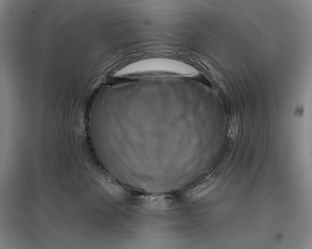 X0000096970524200802291124