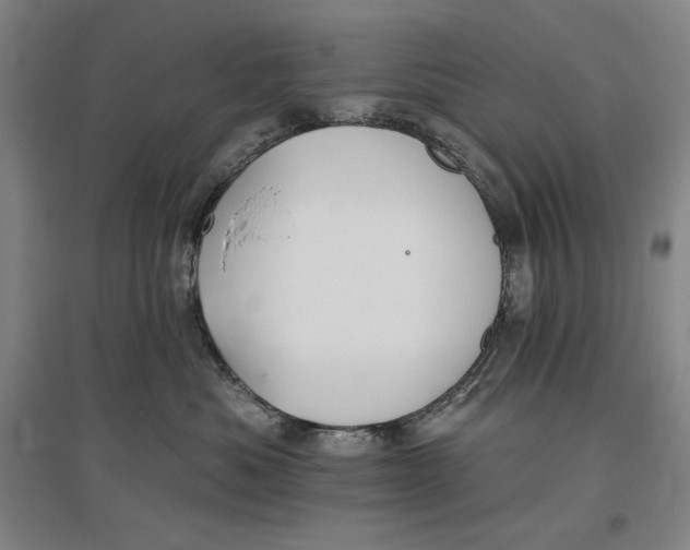 X0000096970525200802291124