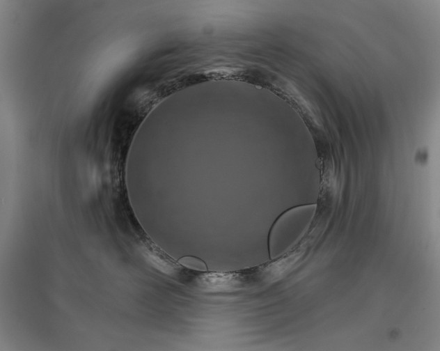 X0000096970526200802291124