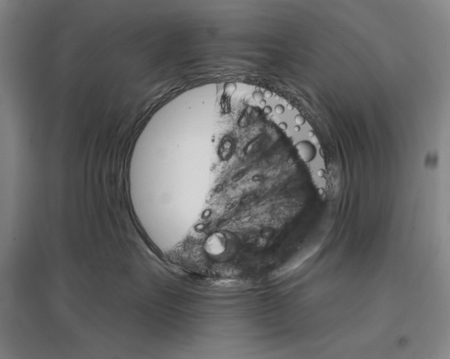 X0000096970527200802291124