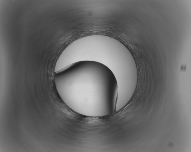 X0000096970528200802291124